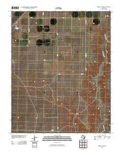 Pardue Camp Texas Historical topographic map, 1:24000 scale, 7.5 X 7.5 Minute, Year 2010