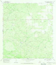 Parrilla Creek SE Texas Historical topographic map, 1:24000 scale, 7.5 X 7.5 Minute, Year 1967