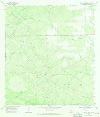 Parrilla Creek SE Texas Historical topographic map, 1:24000 scale, 7.5 X 7.5 Minute, Year 1967