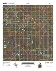 Parrilla Creek NE Texas Historical topographic map, 1:24000 scale, 7.5 X 7.5 Minute, Year 2010