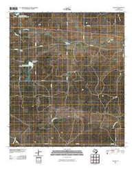 Pasche Texas Historical topographic map, 1:24000 scale, 7.5 X 7.5 Minute, Year 2010