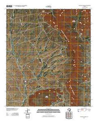 Paso Del Norte Texas Historical topographic map, 1:24000 scale, 7.5 X 7.5 Minute, Year 2010
