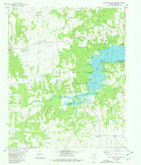 Pat Mayse Lake West Texas Historical topographic map, 1:24000 scale, 7.5 X 7.5 Minute, Year 1980