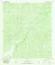 Pato Creek Texas Historical topographic map, 1:24000 scale, 7.5 X 7.5 Minute, Year 1980