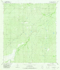 Pato Creek Texas Historical topographic map, 1:24000 scale, 7.5 X 7.5 Minute, Year 1980