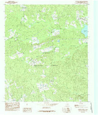 Patroon North Texas Historical topographic map, 1:24000 scale, 7.5 X 7.5 Minute, Year 1984