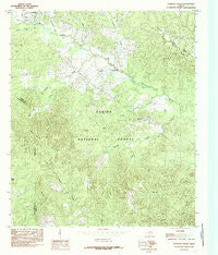 Patroon South Texas Historical topographic map, 1:24000 scale, 7.5 X 7.5 Minute, Year 1984