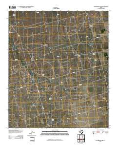 Patterson Lake Texas Historical topographic map, 1:24000 scale, 7.5 X 7.5 Minute, Year 2010