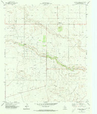Paynes Corner Texas Historical topographic map, 1:24000 scale, 7.5 X 7.5 Minute, Year 1971