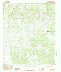 Pecan Mott Texas Historical topographic map, 1:24000 scale, 7.5 X 7.5 Minute, Year 1984