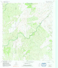 Pecan Springs Texas Historical topographic map, 1:24000 scale, 7.5 X 7.5 Minute, Year 1963