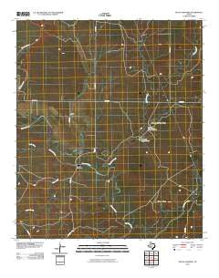 Pecan Crossing Texas Historical topographic map, 1:24000 scale, 7.5 X 7.5 Minute, Year 2010