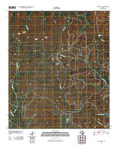 Pecan Mott Texas Historical topographic map, 1:24000 scale, 7.5 X 7.5 Minute, Year 2010