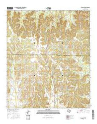 Pecan Mott Texas Current topographic map, 1:24000 scale, 7.5 X 7.5 Minute, Year 2016