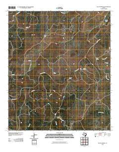 Pecan Springs Texas Historical topographic map, 1:24000 scale, 7.5 X 7.5 Minute, Year 2010
