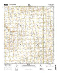 Pecks Lake Texas Current topographic map, 1:24000 scale, 7.5 X 7.5 Minute, Year 2016