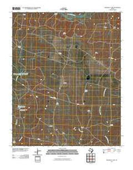 Pedarosa Camp Texas Historical topographic map, 1:24000 scale, 7.5 X 7.5 Minute, Year 2010