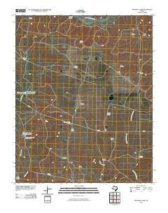 Pedarosa Camp Texas Historical topographic map, 1:24000 scale, 7.5 X 7.5 Minute, Year 2010