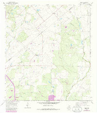 Peggy Texas Historical topographic map, 1:24000 scale, 7.5 X 7.5 Minute, Year 1965