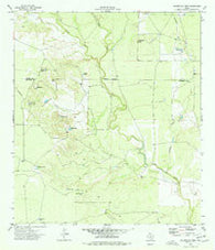 Peloncillo Peak Texas Historical topographic map, 1:24000 scale, 7.5 X 7.5 Minute, Year 1974
