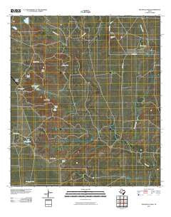 Peloncillo Peak Texas Historical topographic map, 1:24000 scale, 7.5 X 7.5 Minute, Year 2010
