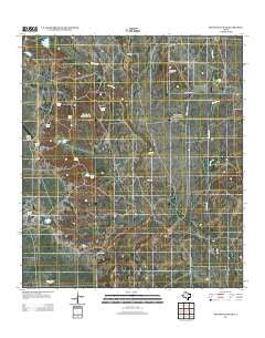 Peloncillo Peak Texas Historical topographic map, 1:24000 scale, 7.5 X 7.5 Minute, Year 2013