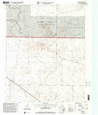 Perico Texas Historical topographic map, 1:24000 scale, 7.5 X 7.5 Minute, Year 1998