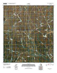 Pertle Creek Texas Historical topographic map, 1:24000 scale, 7.5 X 7.5 Minute, Year 2010