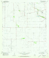 Petronila NE Texas Historical topographic map, 1:24000 scale, 7.5 X 7.5 Minute, Year 1969