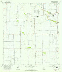 Petronila NE Texas Historical topographic map, 1:24000 scale, 7.5 X 7.5 Minute, Year 1969