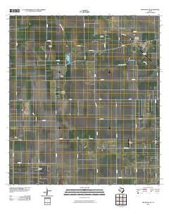 Petronila NE Texas Historical topographic map, 1:24000 scale, 7.5 X 7.5 Minute, Year 2010