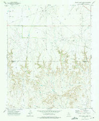 Pickett Ranch Creek Texas Historical topographic map, 1:24000 scale, 7.5 X 7.5 Minute, Year 1973