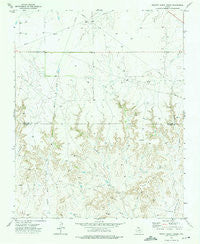 Pickett Ranch Creek Texas Historical topographic map, 1:24000 scale, 7.5 X 7.5 Minute, Year 1973