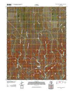 Pickett Ranch Creek Texas Historical topographic map, 1:24000 scale, 7.5 X 7.5 Minute, Year 2010