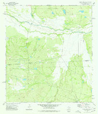 Piedra Creek SW Texas Historical topographic map, 1:24000 scale, 7.5 X 7.5 Minute, Year 1974