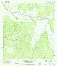 Piedra Creek SW Texas Historical topographic map, 1:24000 scale, 7.5 X 7.5 Minute, Year 1974