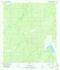 Piedra Parada Tank Texas Historical topographic map, 1:24000 scale, 7.5 X 7.5 Minute, Year 1980