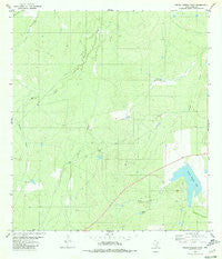 Piedra Parada Tank Texas Historical topographic map, 1:24000 scale, 7.5 X 7.5 Minute, Year 1980