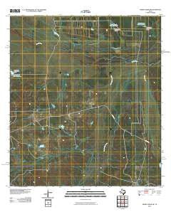 Piedra Creek SW Texas Historical topographic map, 1:24000 scale, 7.5 X 7.5 Minute, Year 2010