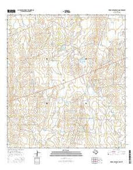 Piedra Parada Ranch Texas Current topographic map, 1:24000 scale, 7.5 X 7.5 Minute, Year 2016