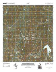 Piedra Parada Tank Texas Historical topographic map, 1:24000 scale, 7.5 X 7.5 Minute, Year 2010