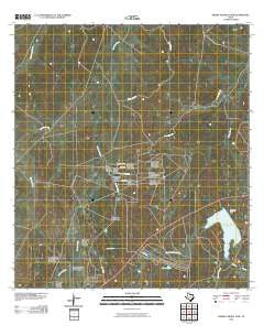 Piedra Parada Tank Texas Historical topographic map, 1:24000 scale, 7.5 X 7.5 Minute, Year 2010