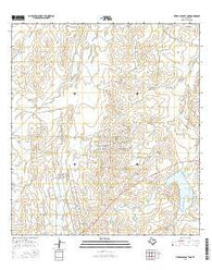 Piedra Parada Tank Texas Current topographic map, 1:24000 scale, 7.5 X 7.5 Minute, Year 2016