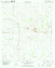 Pierce Ranch Texas Historical topographic map, 1:24000 scale, 7.5 X 7.5 Minute, Year 1979