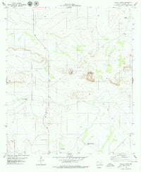 Pierce Ranch Texas Historical topographic map, 1:24000 scale, 7.5 X 7.5 Minute, Year 1979
