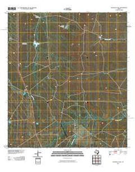 Piloncillo Hill Texas Historical topographic map, 1:24000 scale, 7.5 X 7.5 Minute, Year 2010