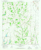 Pilot Grove Texas Historical topographic map, 1:24000 scale, 7.5 X 7.5 Minute, Year 1964