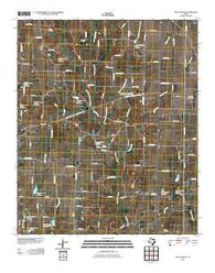 Pilot Grove Texas Historical topographic map, 1:24000 scale, 7.5 X 7.5 Minute, Year 2010