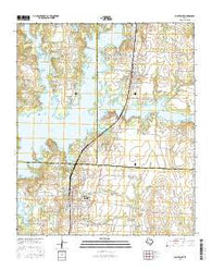 Pilot Point Texas Current topographic map, 1:24000 scale, 7.5 X 7.5 Minute, Year 2016