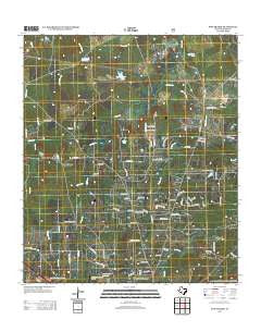 Pine Prairie Texas Historical topographic map, 1:24000 scale, 7.5 X 7.5 Minute, Year 2013